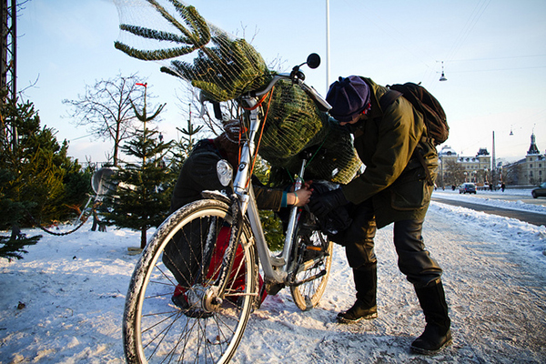 Albero di Natale montato su una bici