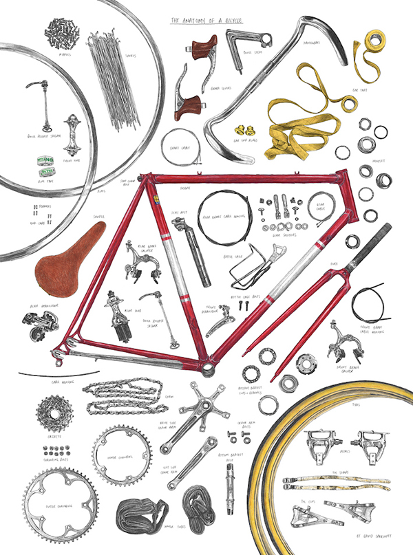 Anatomia di una bicicletta di David Sparshott