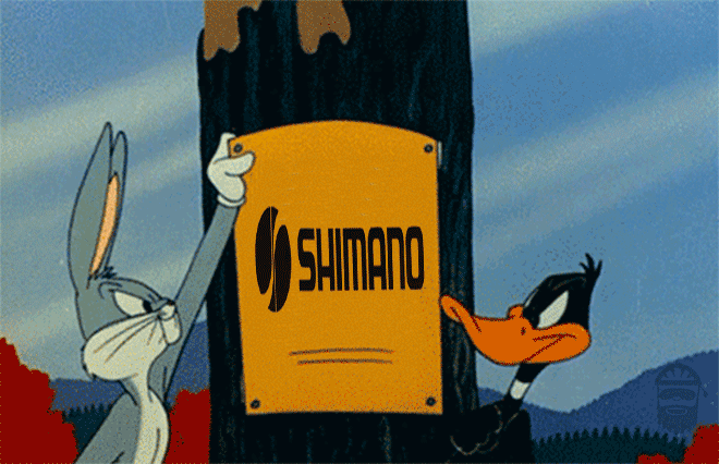 Bugs Bunny e Duffy Duck con Campagnolo e Shimano