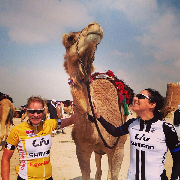 Qatar, cicliste e cammelli