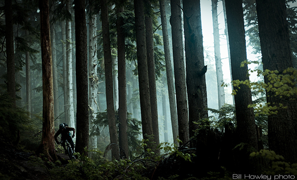Mountain bike nel bosco umido