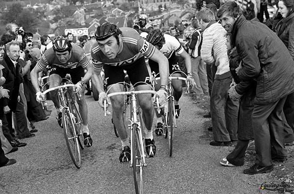 Roger De Vlaeminck, Eddy Merckx e Freddy Maertens al Giro delle Fiandre 1977
