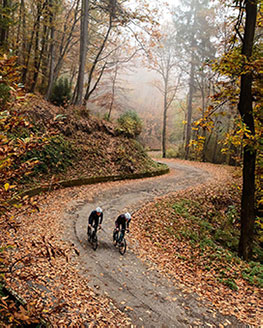 Due ciclisti in un boso in autunno