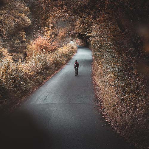 Un ciclista tra il foliage autunnale