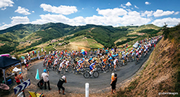 Il gruppo in un tornante al Tour de France 2019